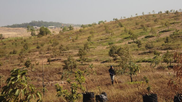 Implementasi Infrastruktur Irigasi dalam Upaya Adaptasi Perubahan Iklim di Banjar, Kalimantan Selatan​
