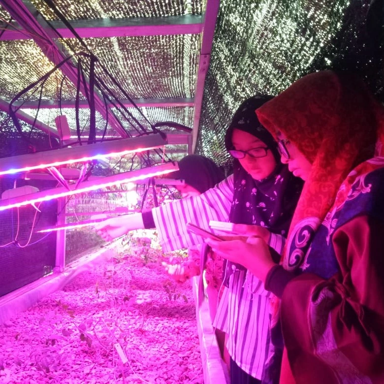Pemantauan intensitas cahaya yang dihasilkan oleh Lantera, perangkat pencahayaan buatan yang mendukung pertumbuhan tanaman secara optimal di berbagai kondisi
