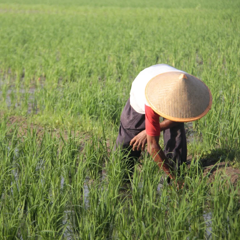 Kompetisi Startup Kemenperin Bukti RI Mampu Bersaing di Era Industri 4.0